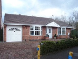 New Bungalow